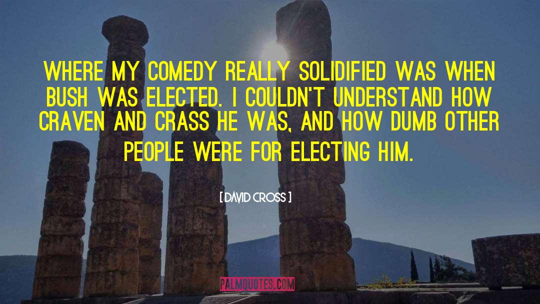 Electing quotes by David Cross