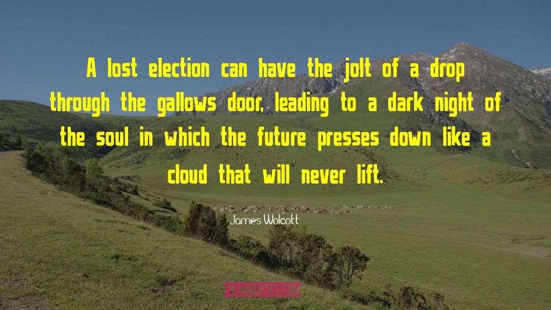 Election 2020 quotes by James Wolcott