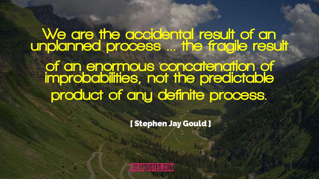 Election Process quotes by Stephen Jay Gould