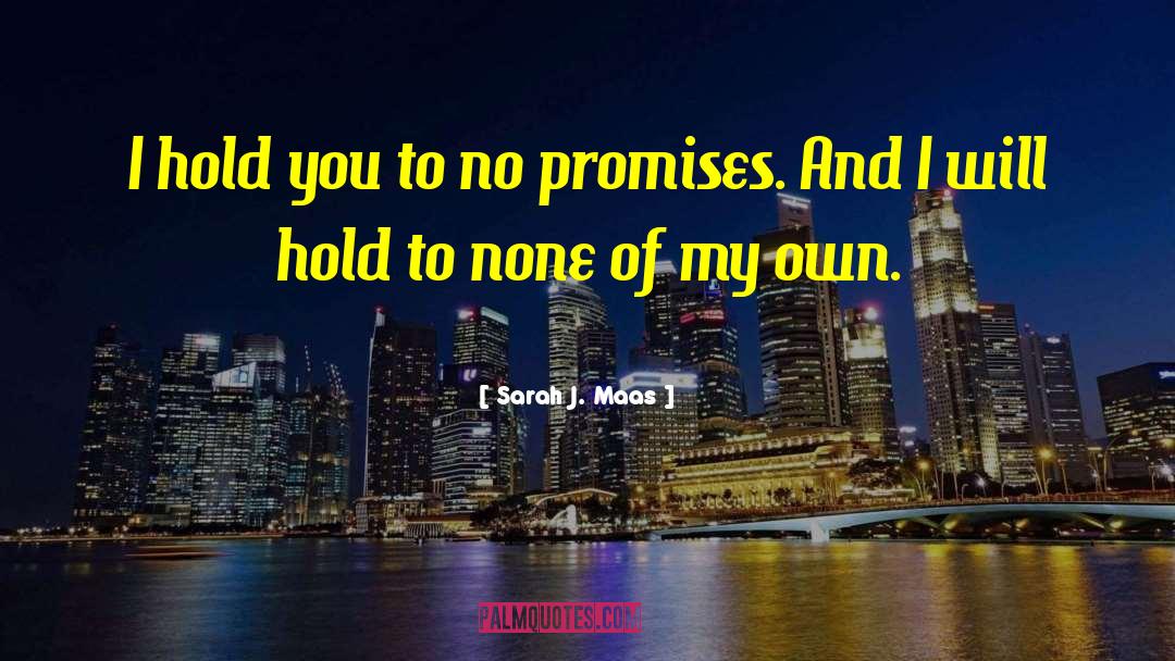 Election Promises quotes by Sarah J. Maas