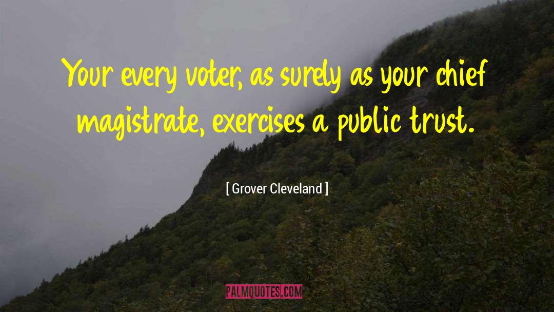 Elections And Voting quotes by Grover Cleveland