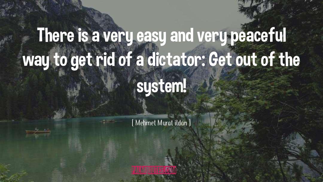 Electoral System quotes by Mehmet Murat Ildan