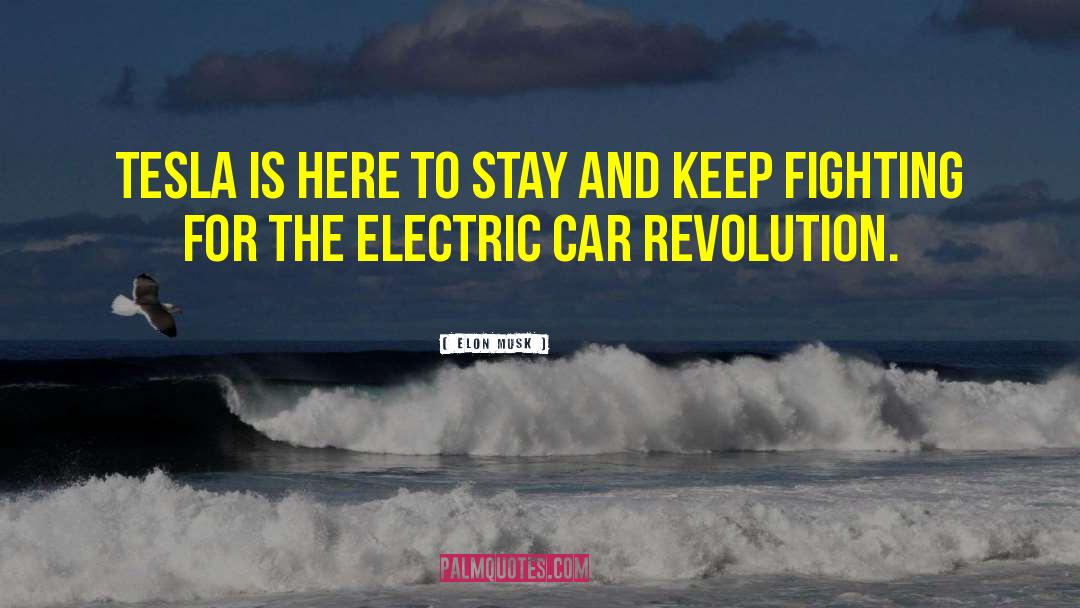 Electric Car quotes by Elon Musk