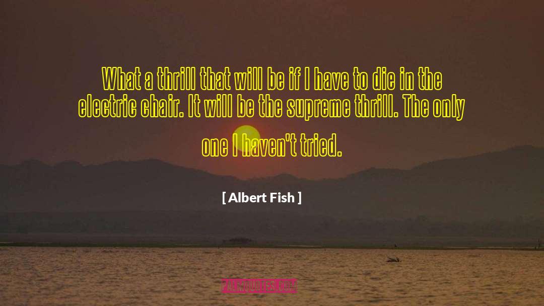 Electric Chair quotes by Albert Fish