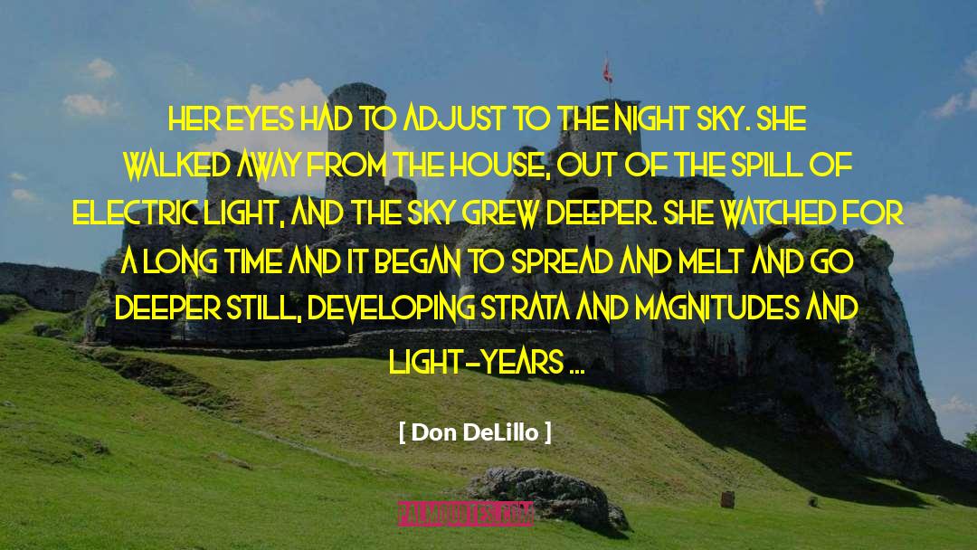 Electric Light quotes by Don DeLillo