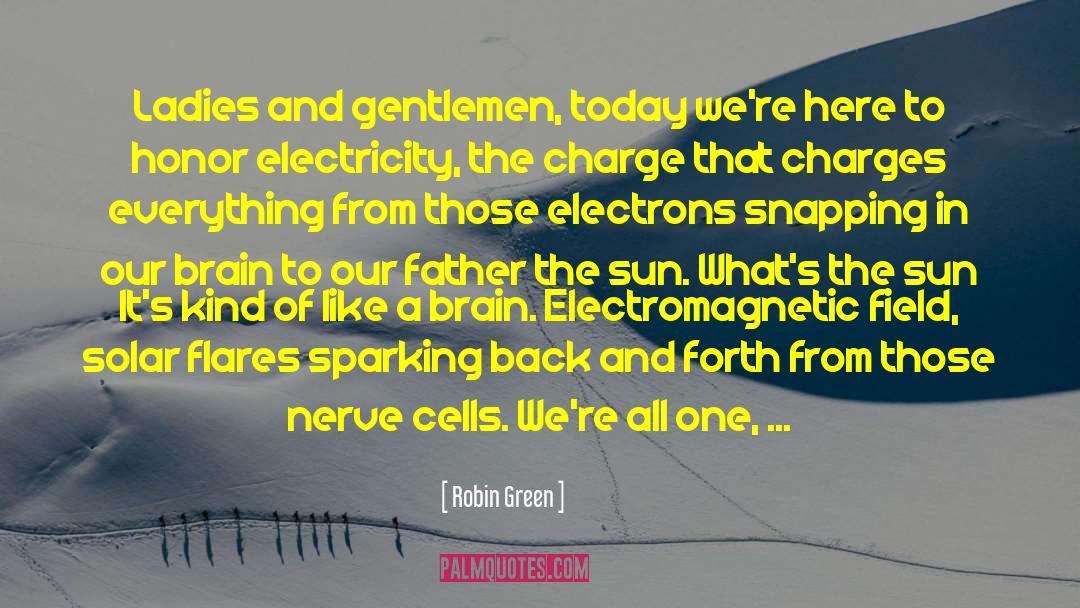 Electrical Charges quotes by Robin Green