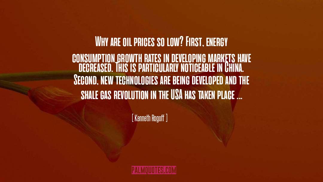 Electrical Energy quotes by Kenneth Rogoff