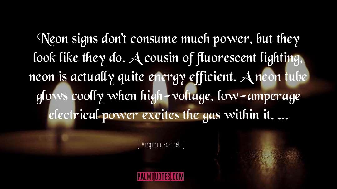 Electrical Power quotes by Virginia Postrel