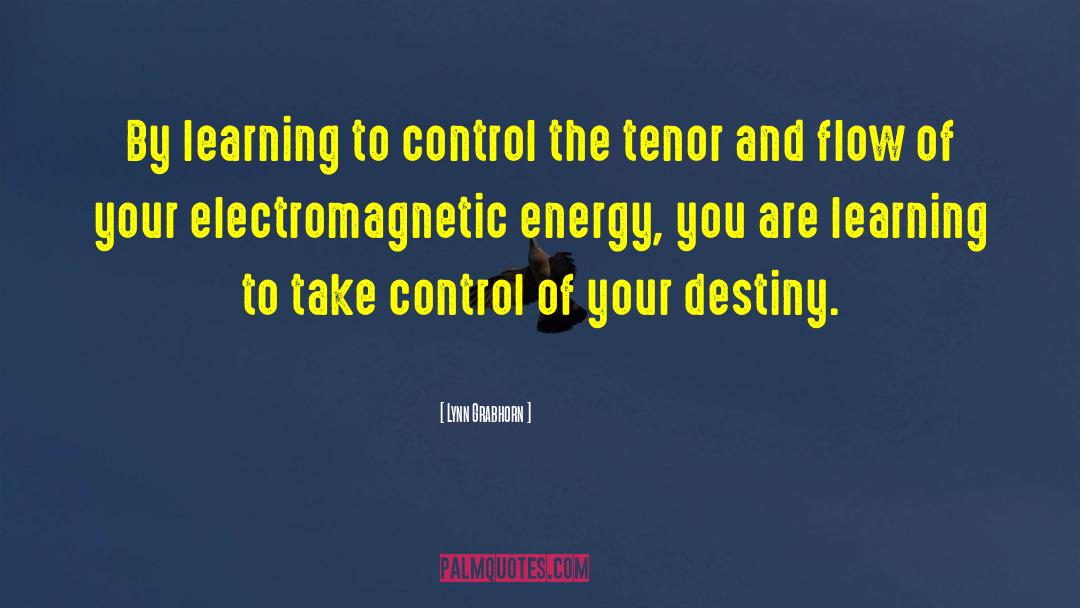 Electromagnetic quotes by Lynn Grabhorn