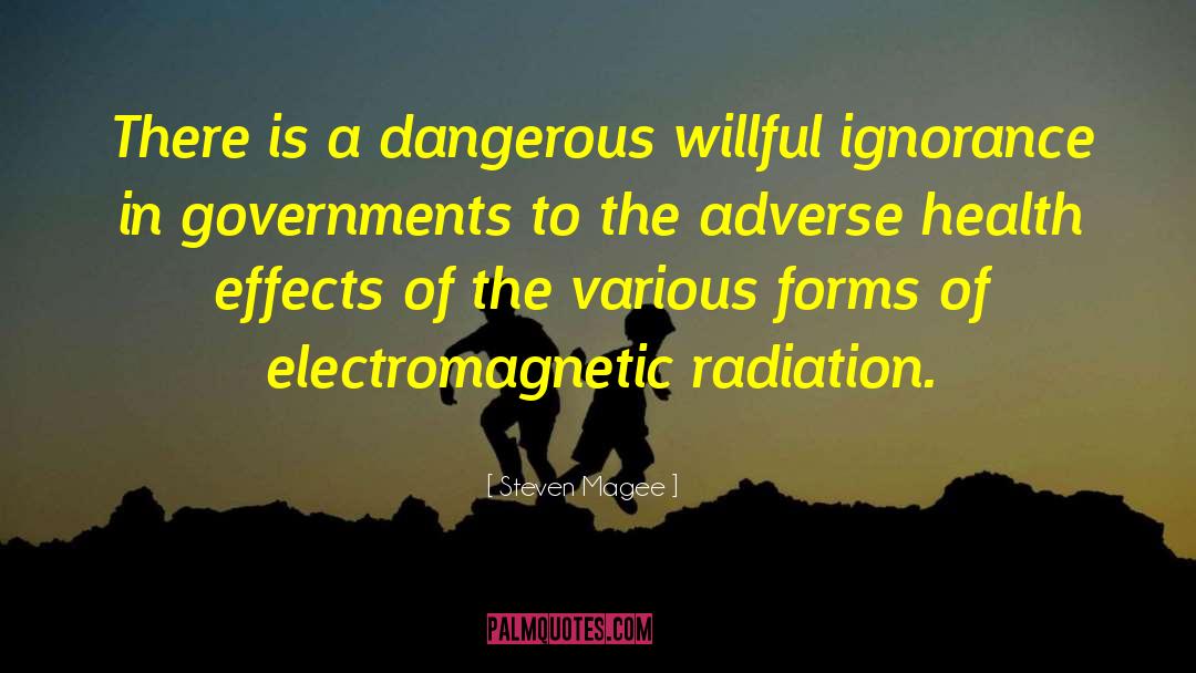 Electromagnetic quotes by Steven Magee