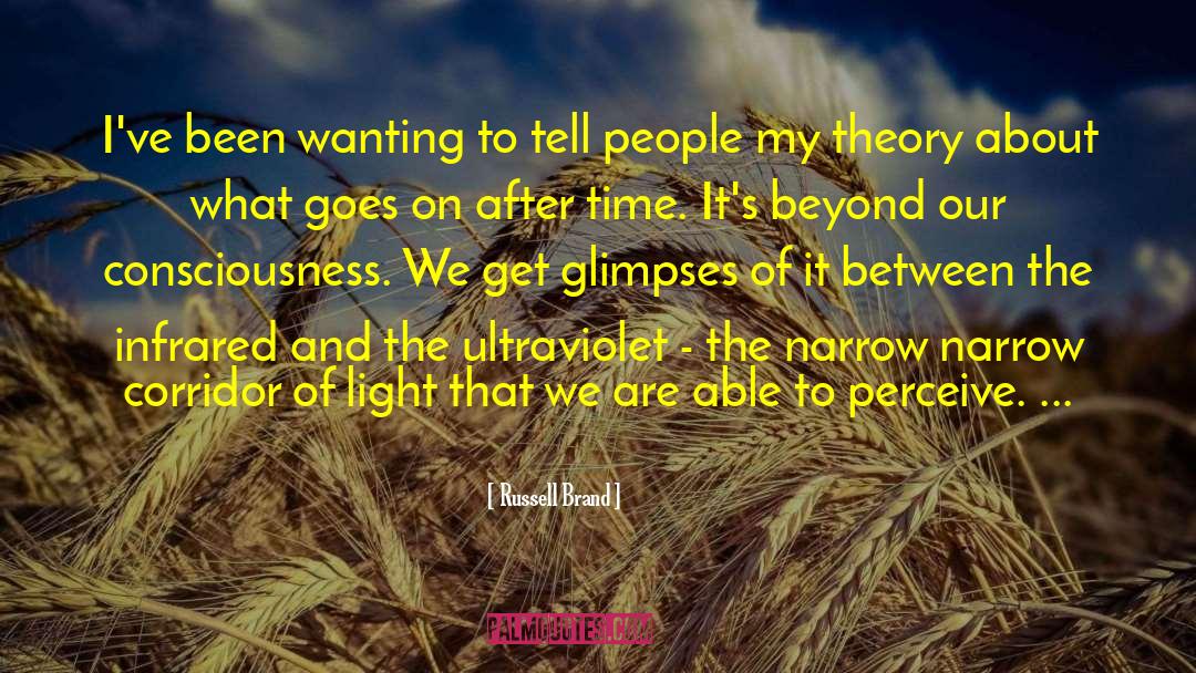 Electromagnetic Theory Of Light quotes by Russell Brand