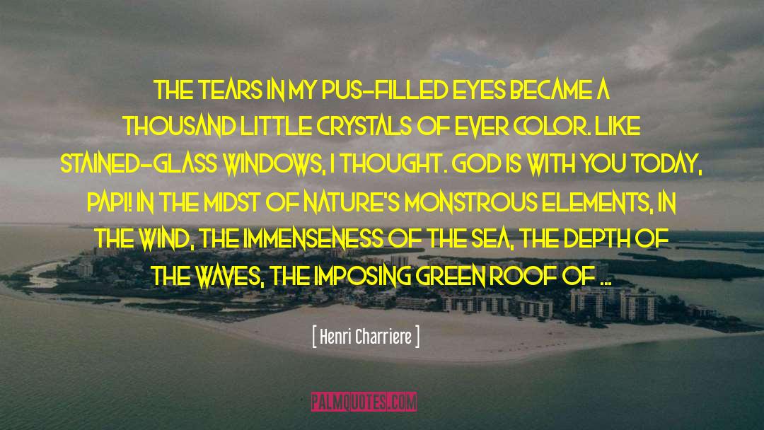 Electromagnetic Waves quotes by Henri Charriere