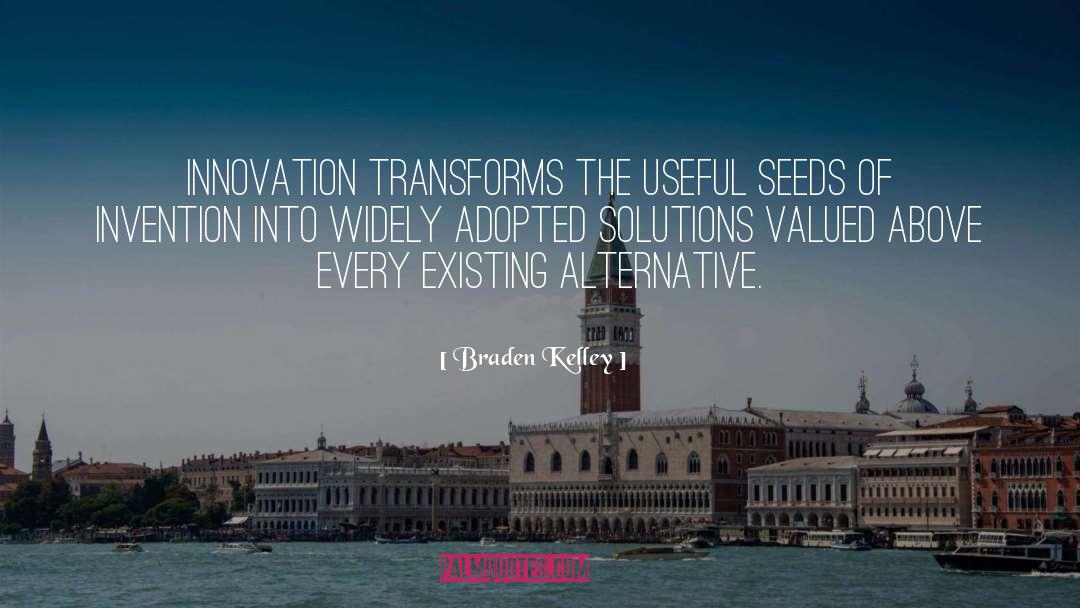 Elegant Solutions quotes by Braden Kelley