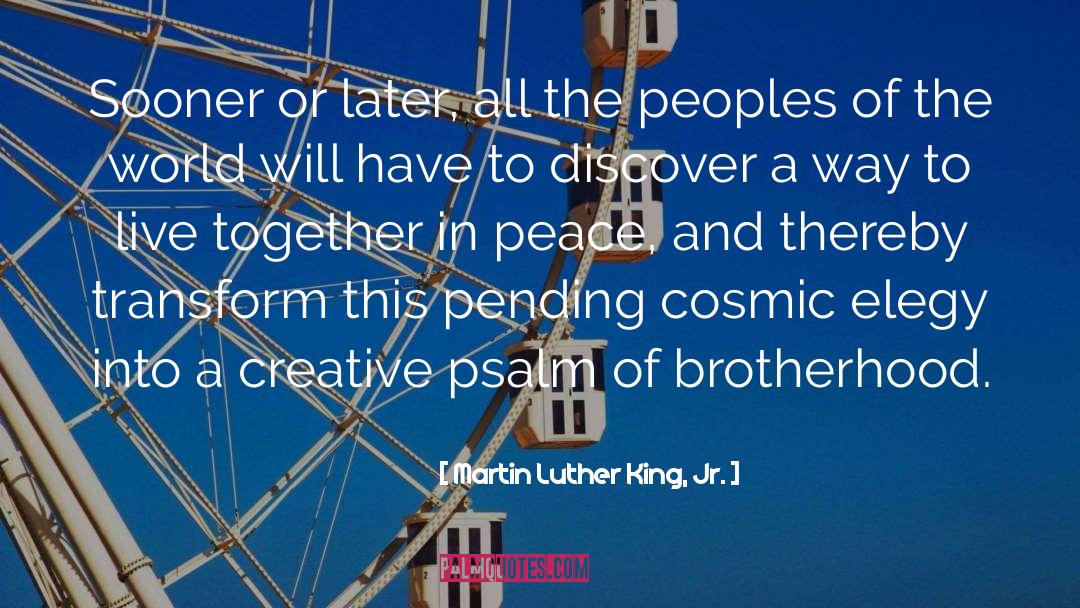 Elegy quotes by Martin Luther King, Jr.