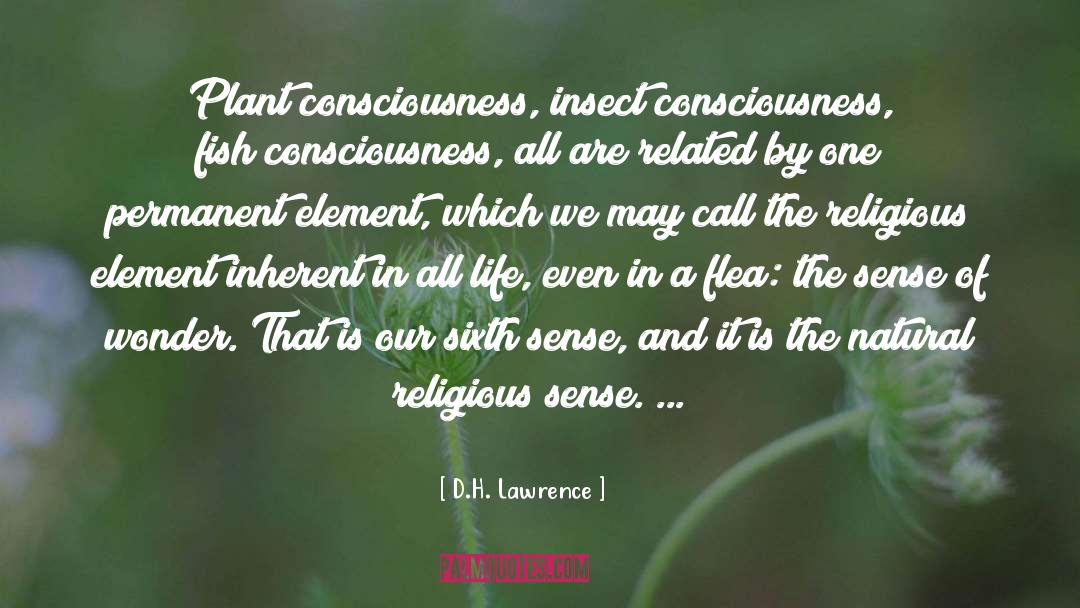 Element Of Surpise quotes by D.H. Lawrence