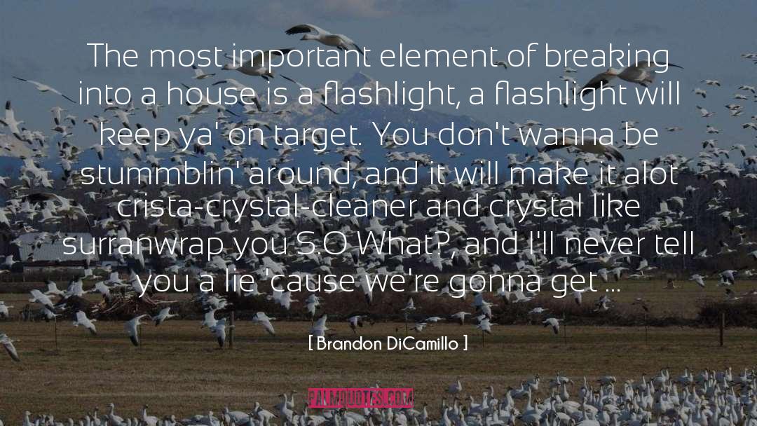 Element quotes by Brandon DiCamillo