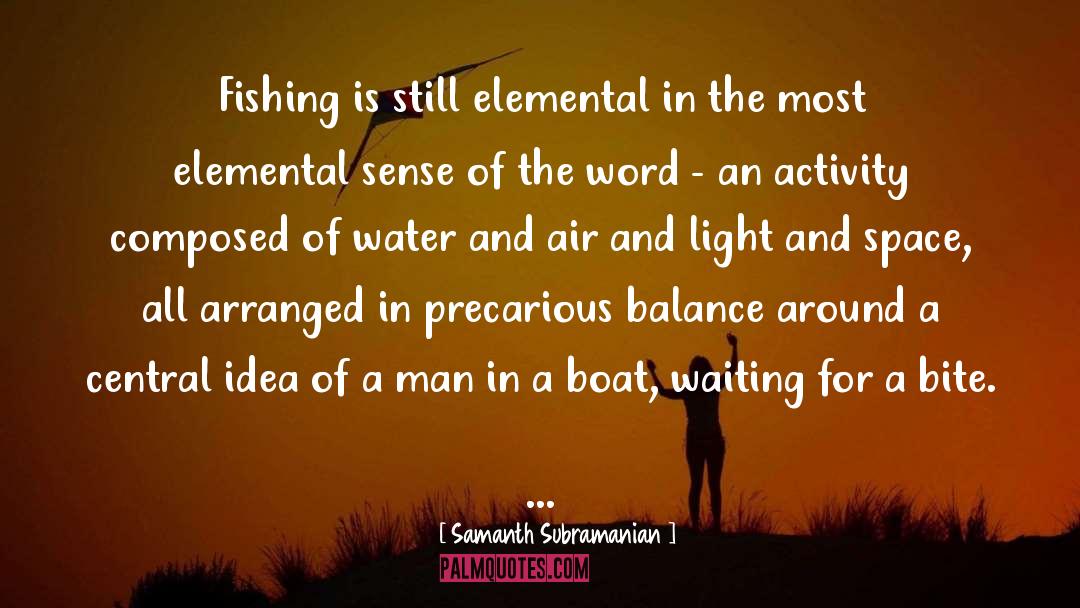 Elemental quotes by Samanth Subramanian