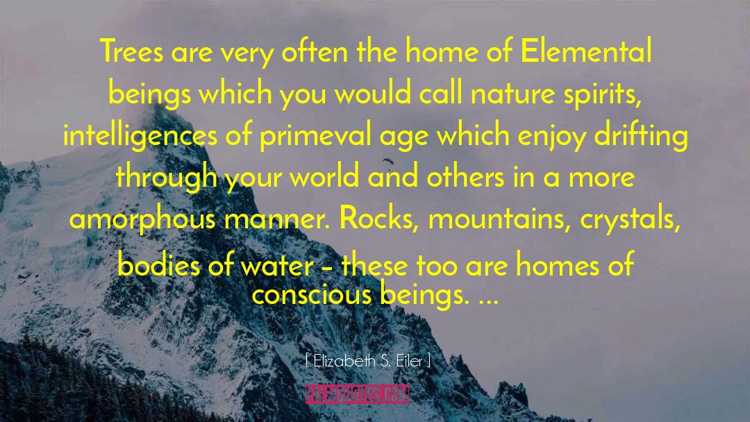 Elementals quotes by Elizabeth S. Eiler