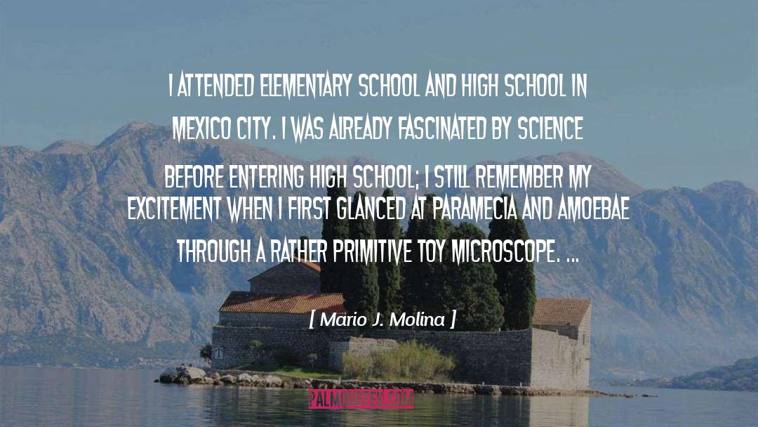Elementary School Principal Inspirational quotes by Mario J. Molina