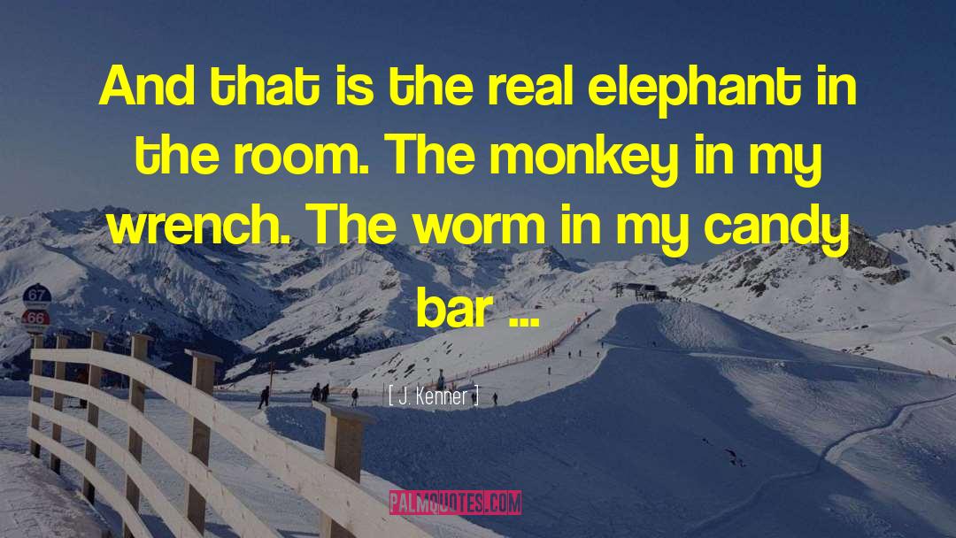 Elephant In The Room quotes by J. Kenner