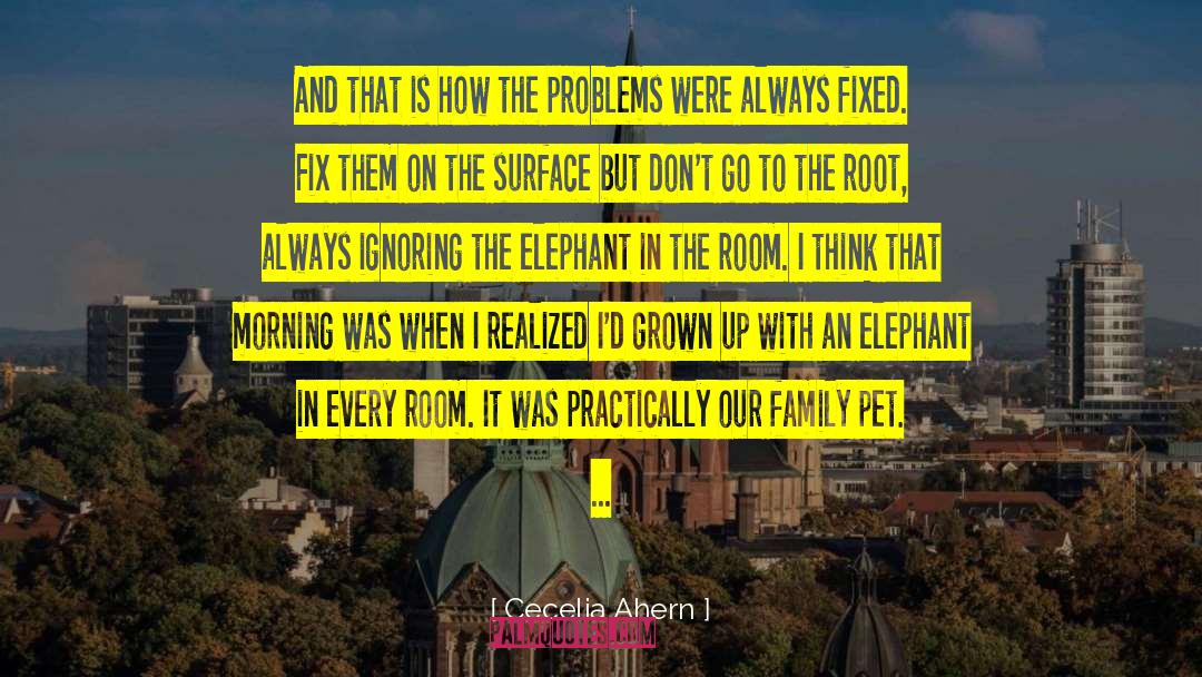 Elephant In The Room quotes by Cecelia Ahern