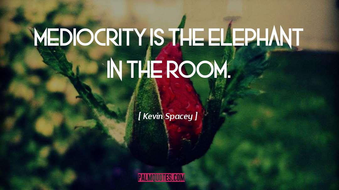 Elephant In The Room quotes by Kevin Spacey