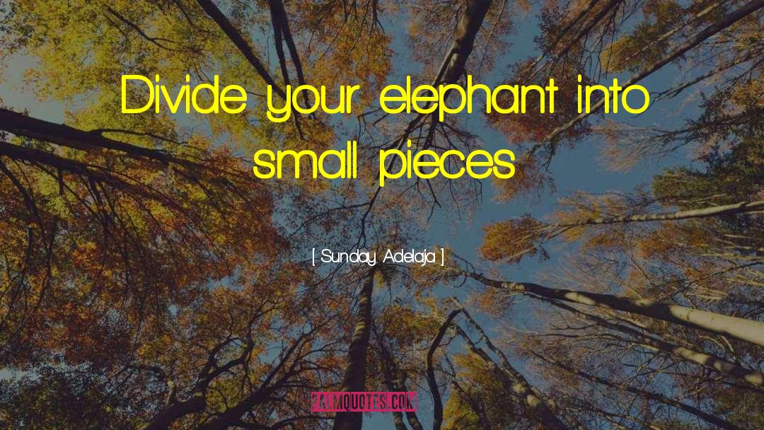 Elephant quotes by Sunday Adelaja