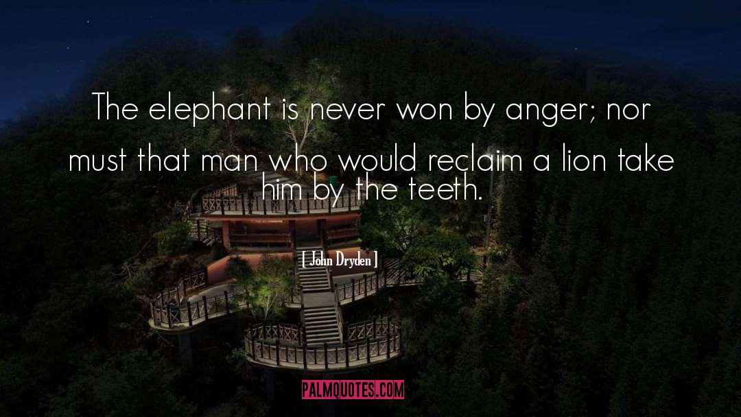 Elephant quotes by John Dryden