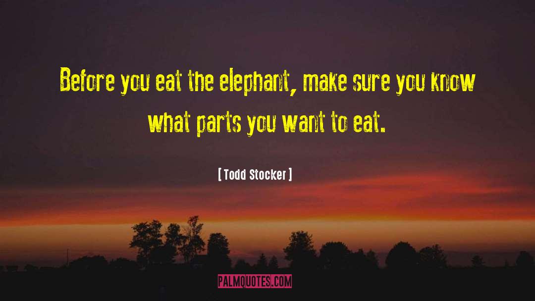 Elephant quotes by Todd Stocker