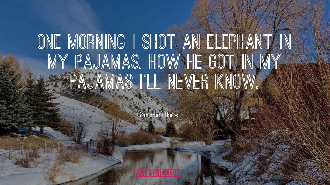 Elephant quotes by Groucho Marx