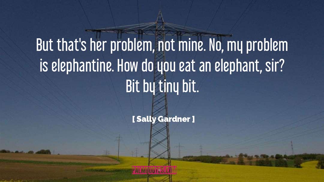 Elephant quotes by Sally Gardner