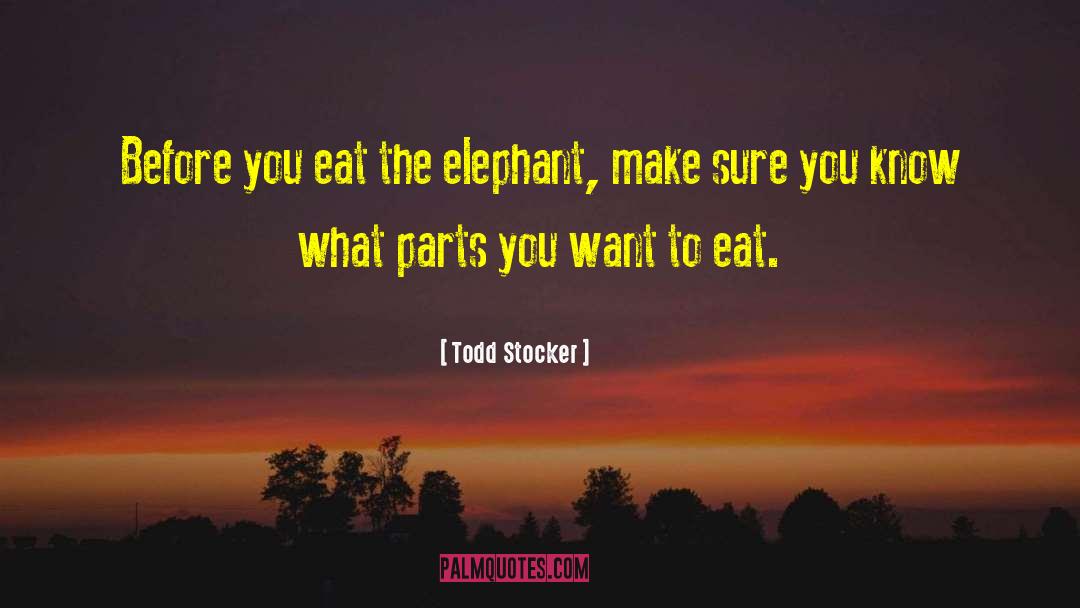 Elephant Whisperer quotes by Todd Stocker