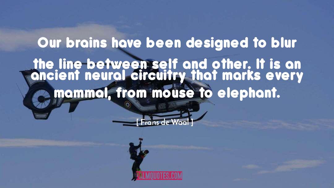 Elephant Whisperer quotes by Frans De Waal
