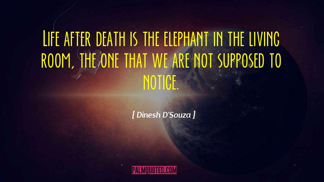 Elephant Whisperer quotes by Dinesh D'Souza