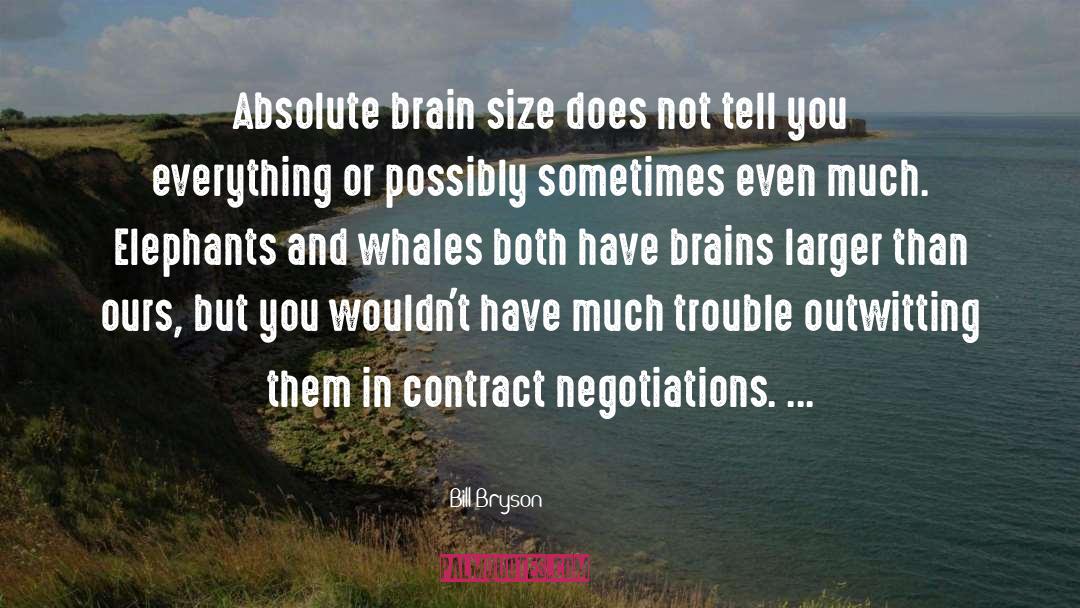 Elephants Brainy quotes by Bill Bryson
