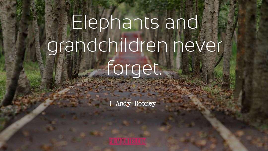 Elephants Brainy quotes by Andy Rooney