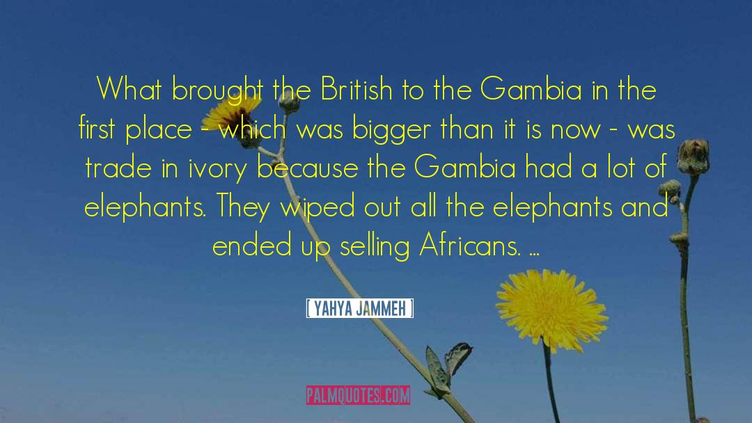 Elephants Brainy quotes by Yahya Jammeh