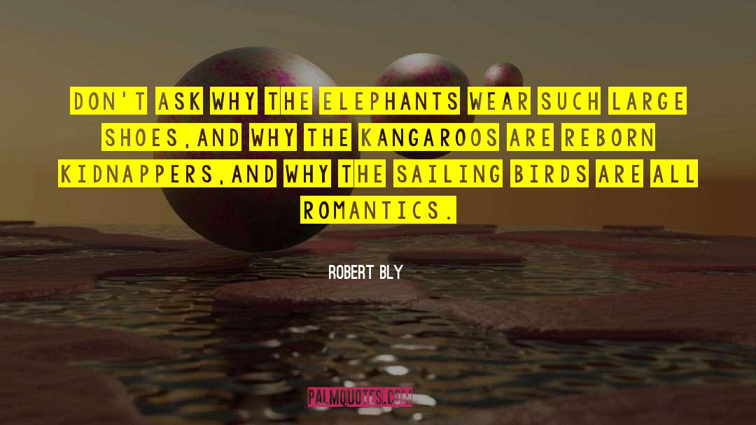 Elephants Brainy quotes by Robert Bly
