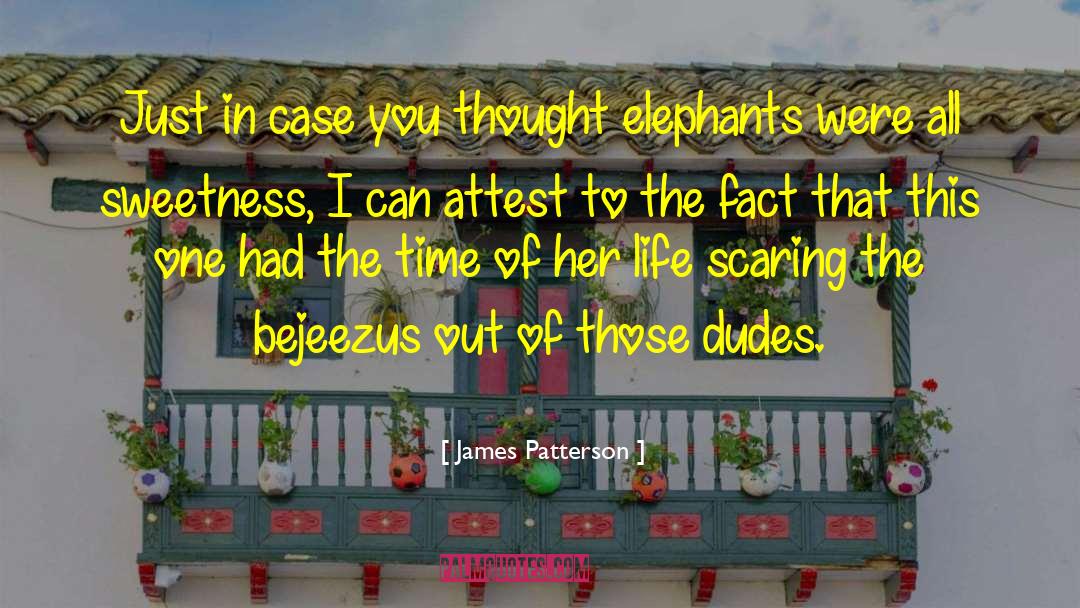 Elephants Brainy quotes by James Patterson
