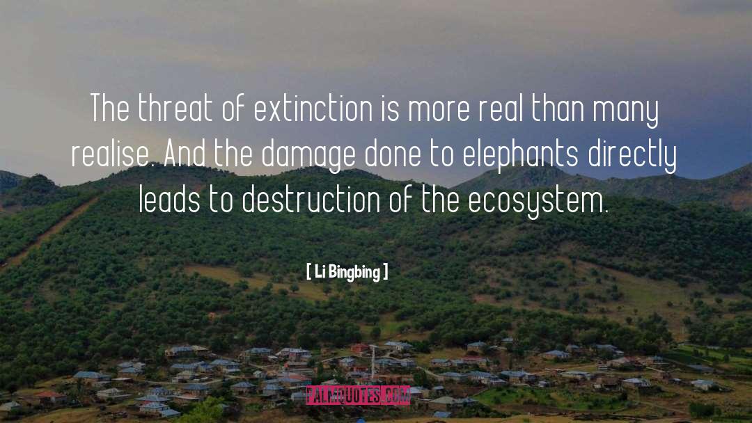 Elephants Brainy quotes by Li Bingbing