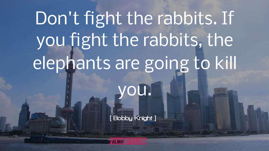 Elephants quotes by Bobby Knight