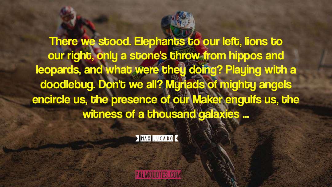 Elephants quotes by Max Lucado