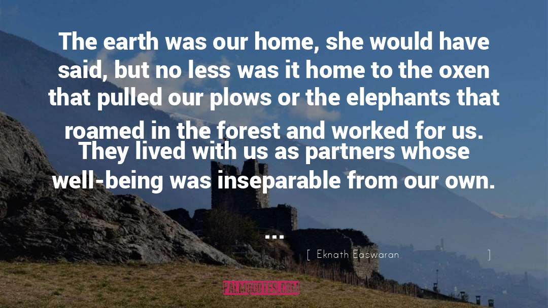 Elephants quotes by Eknath Easwaran