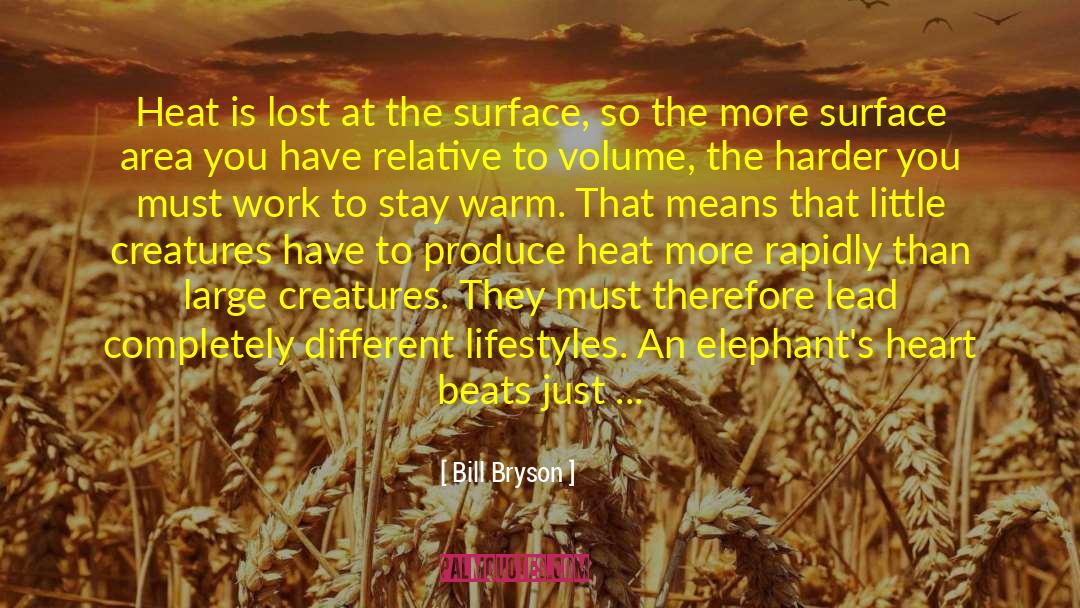 Elephants quotes by Bill Bryson