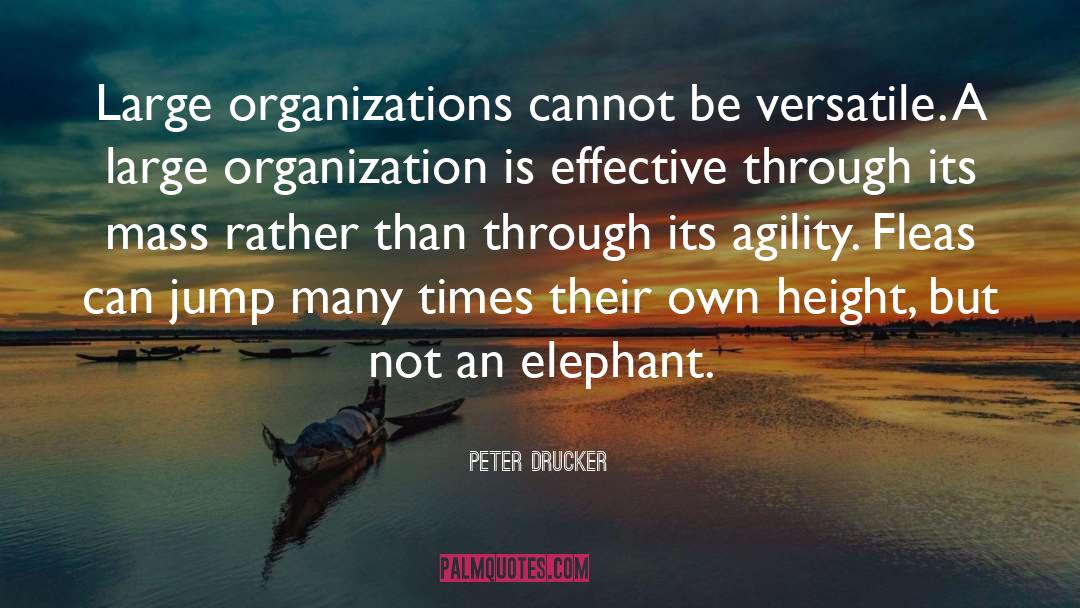 Elephants quotes by Peter Drucker