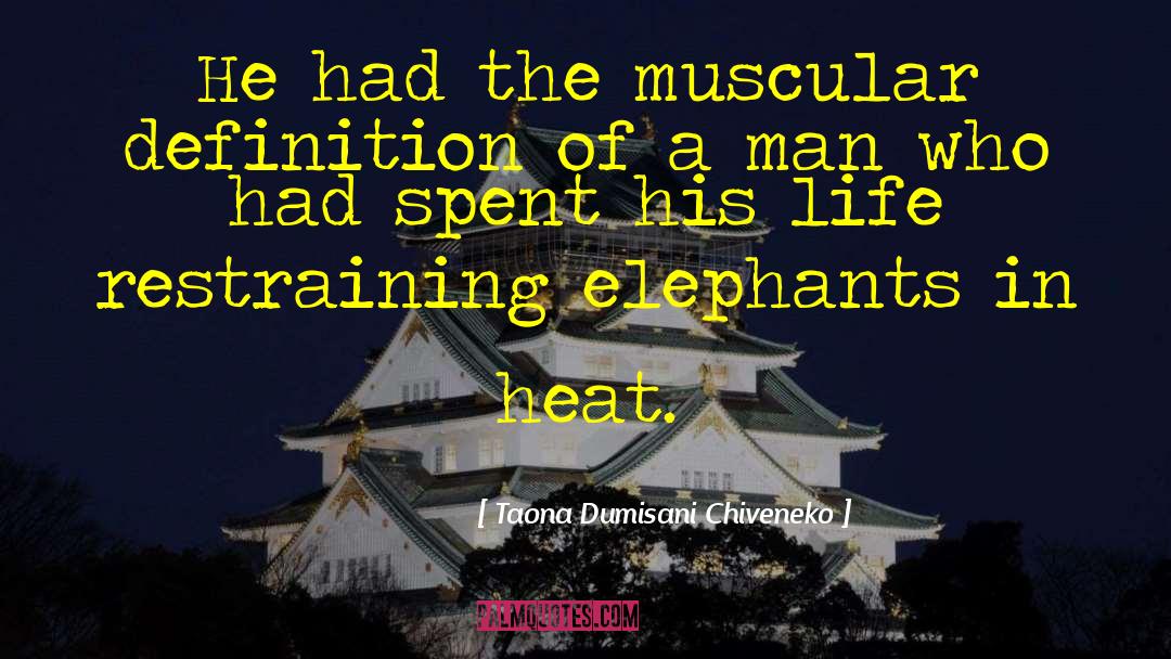 Elephants quotes by Taona Dumisani Chiveneko