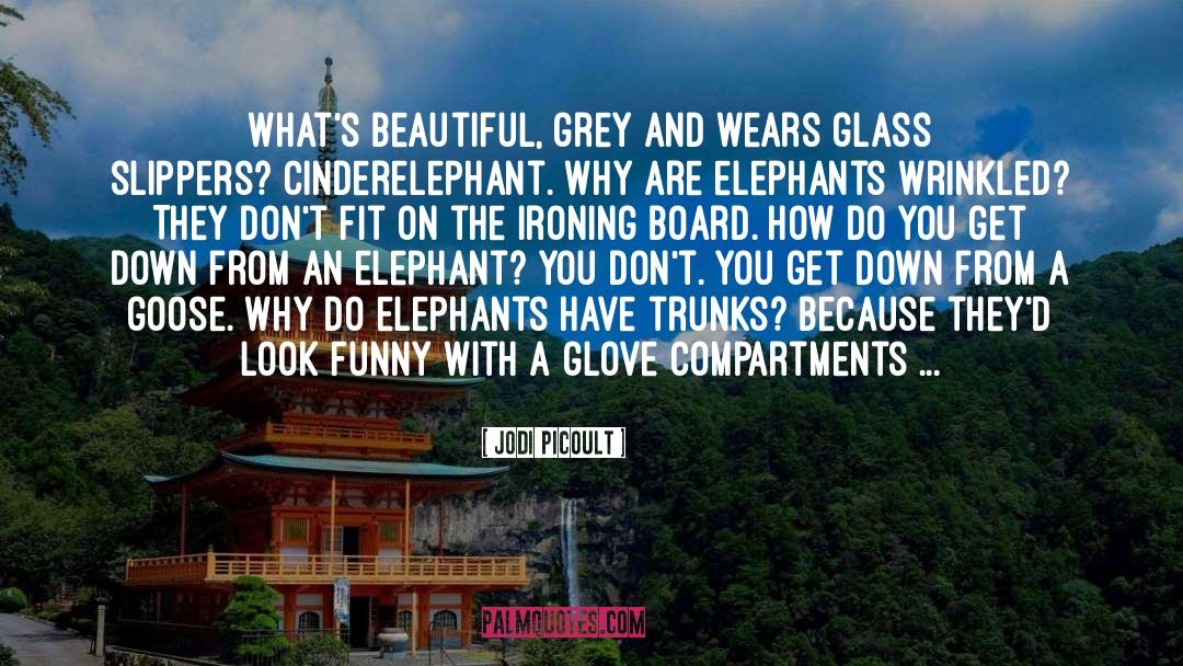 Elephants quotes by Jodi Picoult