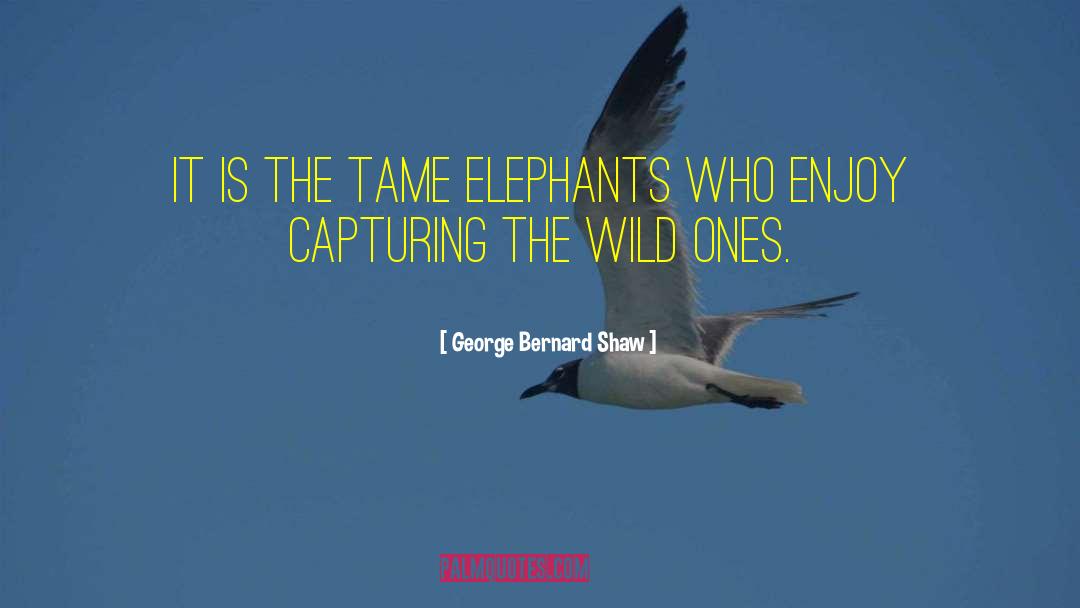 Elephants quotes by George Bernard Shaw