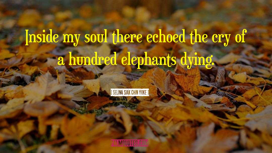 Elephants quotes by Selina Siak Chin Yoke