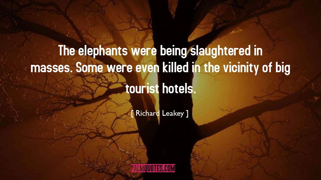 Elephants quotes by Richard Leakey